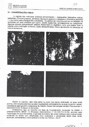 Parecer técnico 03.jpg