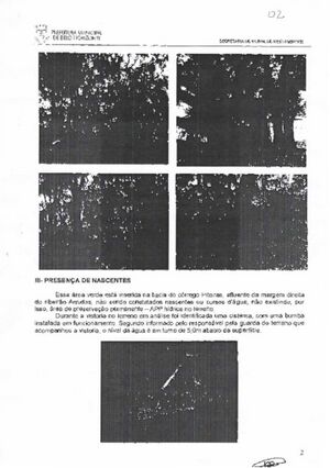 Parecer técnico 02.jpg